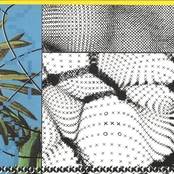 The Boy From West Bronx