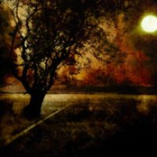 Untitled Album