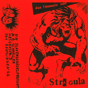 Das Fieseste Von Stragula