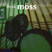 möss