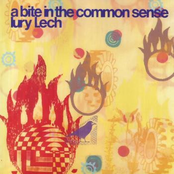 A Bite in the Common Sense