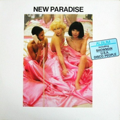 New Paradise