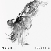 Mush (Acoustic)