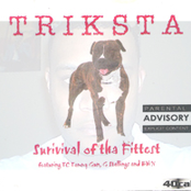 Survival of the fittest