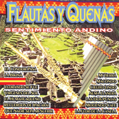 Flautas y Quenas