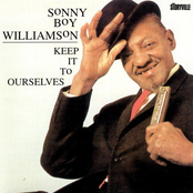 Coming Home To You Baby by Sonny Boy Williamson