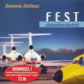 FEST Sikkerhetsbeltet