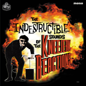 The Indestructible Sounds Of...