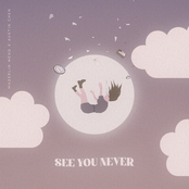 See You Never