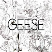 geese