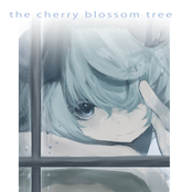the cherry blossom tree