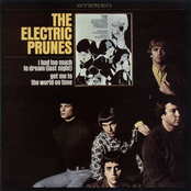 Luvin by The Electric Prunes