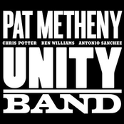 New Year by Pat Metheny