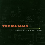 The Iguanas: Plastic Silver 9 Volt Heart