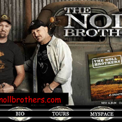 the noll brothers