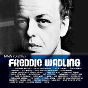 What If I Never Speed by Freddie Wadling