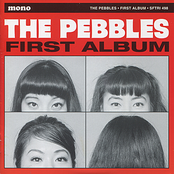 We Love The Beatles by The Pebbles