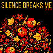 Silence Breaks Me