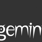 The Gemini Experiment