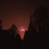 Blood Vow