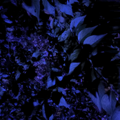 Three Drums (Astraduct Rework)