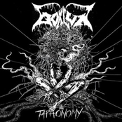 Taphonomy