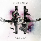 Reckless by Assemblage 23