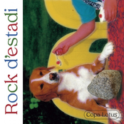 Rock d'estadi