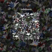 adabana