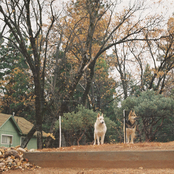 Always You/Parchment (Acoustic) - Single