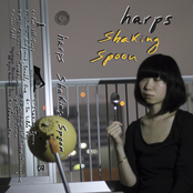 Shaking Spoon