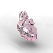 Rosegold (feat. Shreya Preeti)