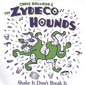 Shake It Don't Break It