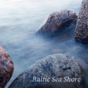 Baltic Sea Shore