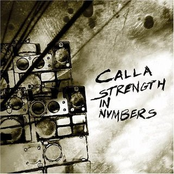 Defenses Down by Calla