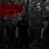 Hemorrhaging Elysium