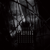 Stagnant Waters