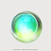 Tapestry of Life: Everyday Whispers