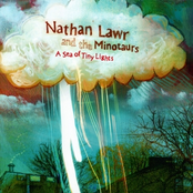 A Sea Of Tiny Lights