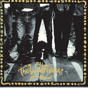 Shy Of The Moon by The Wallflowers