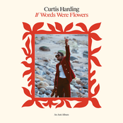 Curtis Harding: If Words Were Flowers