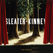 Sleater-Kinney - Wilderness