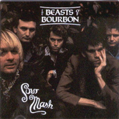 Driver Man by Beasts Of Bourbon