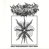 Split Discography 2017-2019