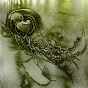 - Embryonal Confinement -