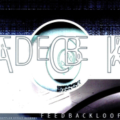 Feedback Loop