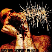 Auditive Display of Hate EP