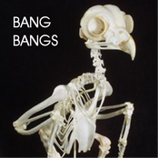 Bang Bangs