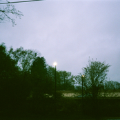 Witches Up No Mountain Switches Down No Valley