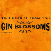 Gin Blossoms: Til I Hear It From You